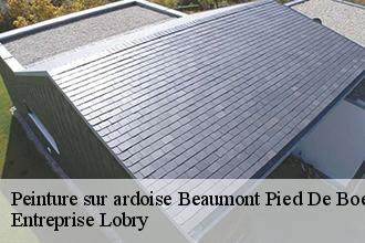 Peinture sur ardoise  beaumont-pied-de-boeuf-53290 Entreprise Lobry