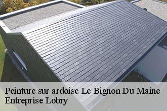 Peinture sur ardoise  le-bignon-du-maine-53170 Entreprise Lobry