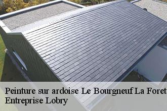 Peinture sur ardoise  le-bourgneuf-la-foret-53410 Entreprise Lobry