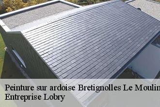 Peinture sur ardoise  bretignolles-le-moulin-53110 Entreprise Lobry