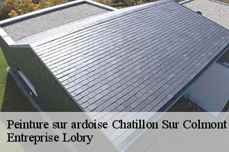 Peinture sur ardoise  chatillon-sur-colmont-53100 Entreprise Lobry