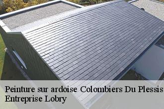 Peinture sur ardoise  colombiers-du-plessis-53120 Entreprise Lobry