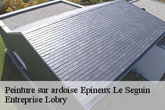 Peinture sur ardoise  epineux-le-seguin-53340 Entreprise Lobry