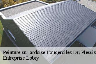 Peinture sur ardoise  fougerolles-du-plessis-53190 Entreprise Lobry